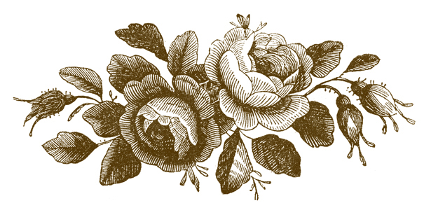 roses-engraving-godeys-graphicsfairybrn1