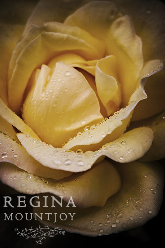 Invitation - Image (c) Regina Mountjoy 