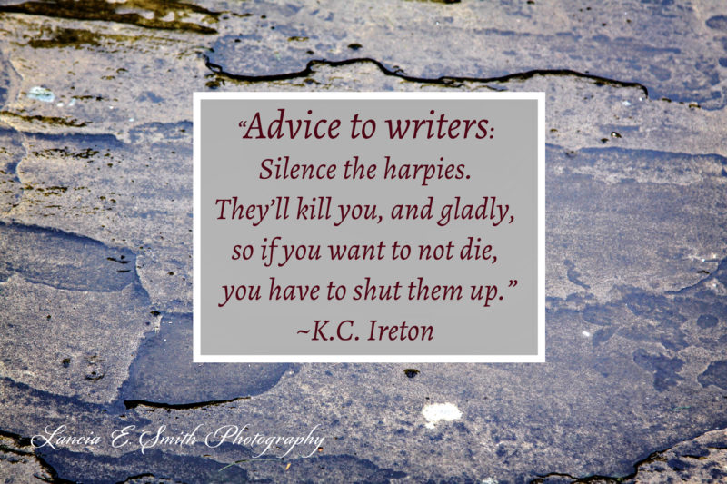 Advice to writers KCI - Image (c) Lancia E. Smith